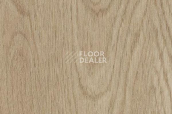 Виниловая плитка ПВХ FORBO Allura Wood 60064DR7-60064DR5 whitewash elegant oak фото 1 | FLOORDEALER